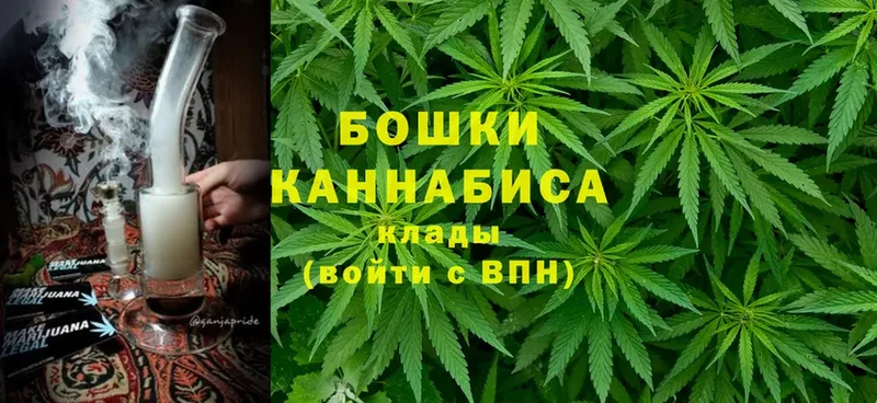 Конопля Bruce Banner  Лянтор 